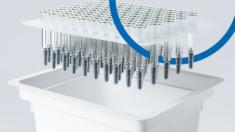 GAQ_alba_Syringes