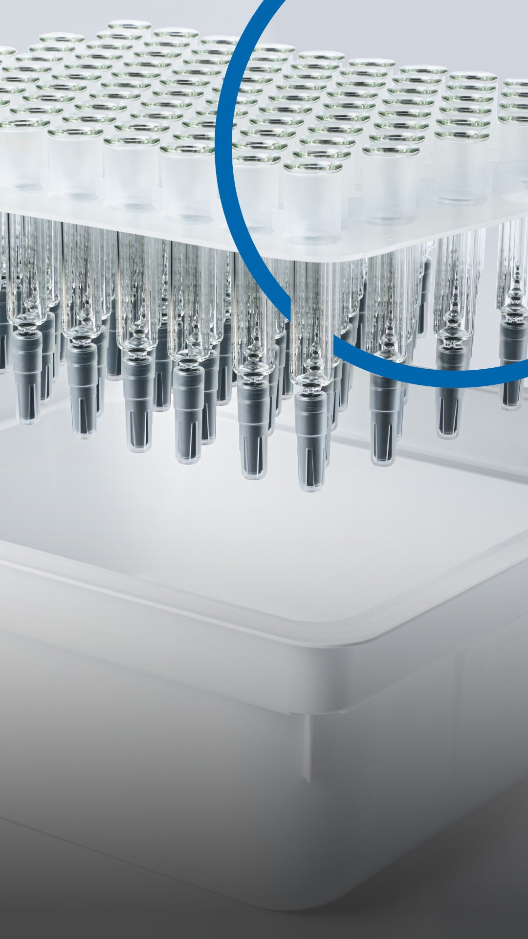 hero_alba_Syringes_MB