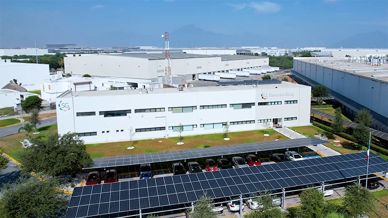 Monterrey_plant_view